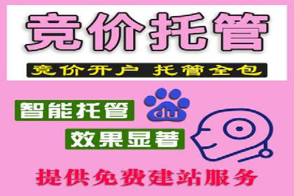 竞价代运营实战案例深度剖析